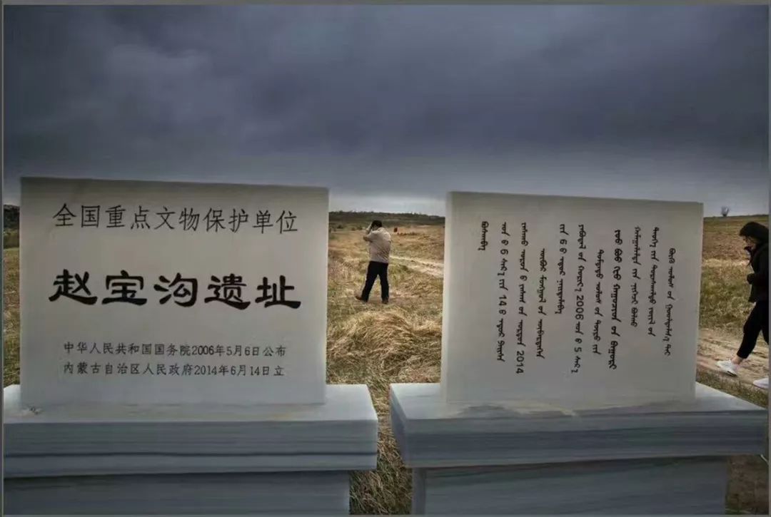 赵宝沟神兽纹陶尊